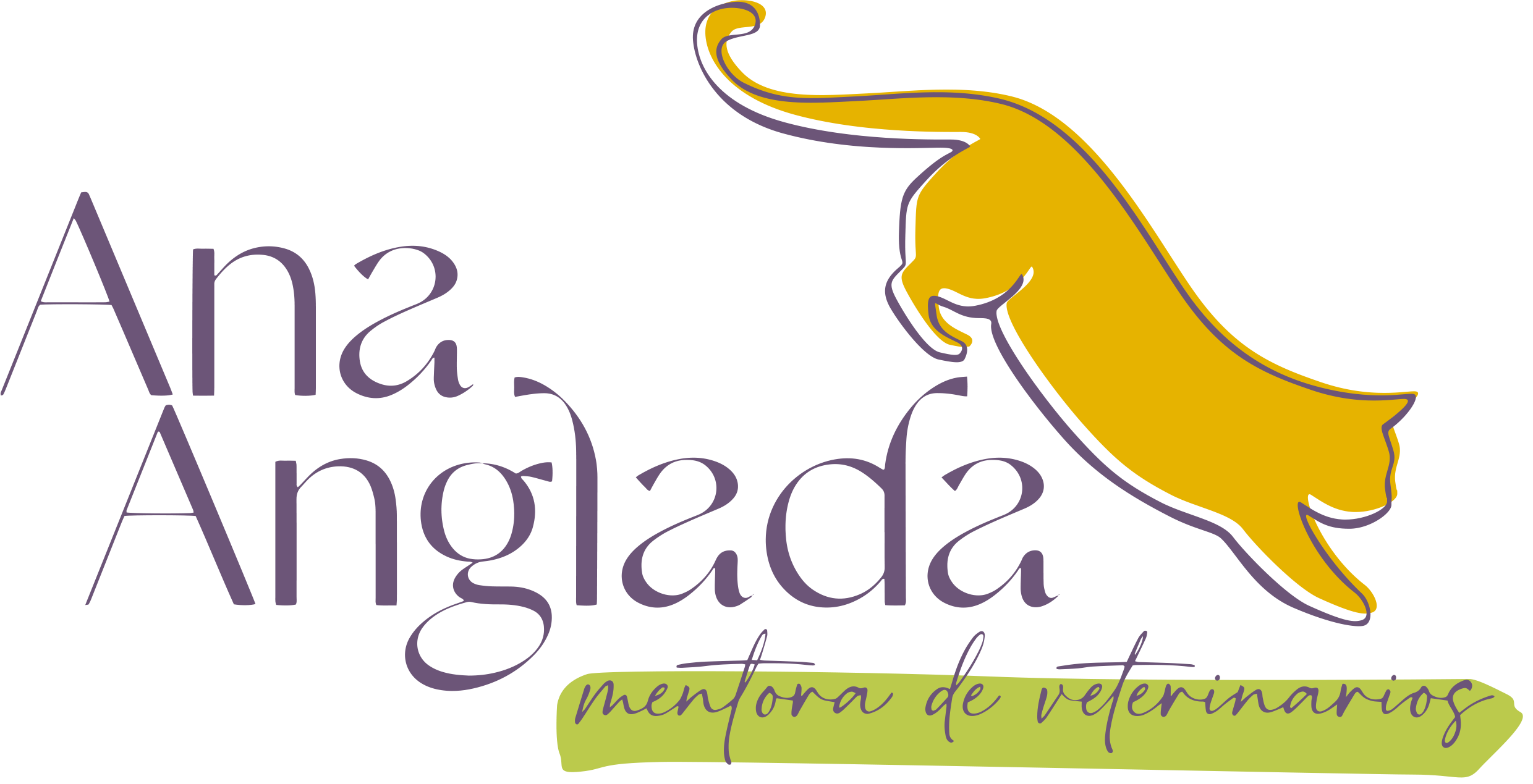 Bootcamp de Marketing Veterinario